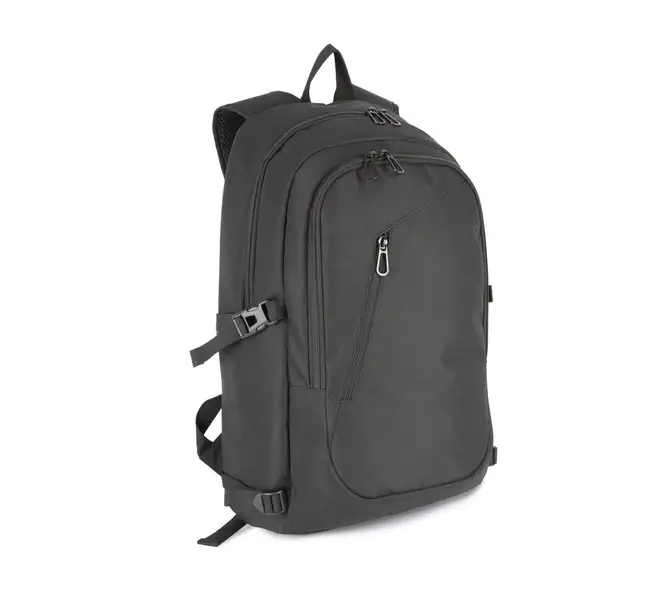 Business Backpack Padded Laptop