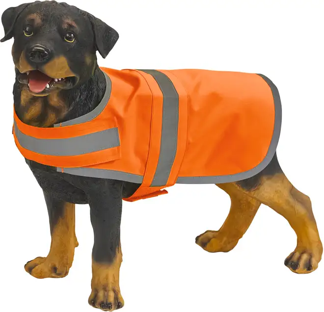 High-Visibility Dog Vest with Reflective Edge